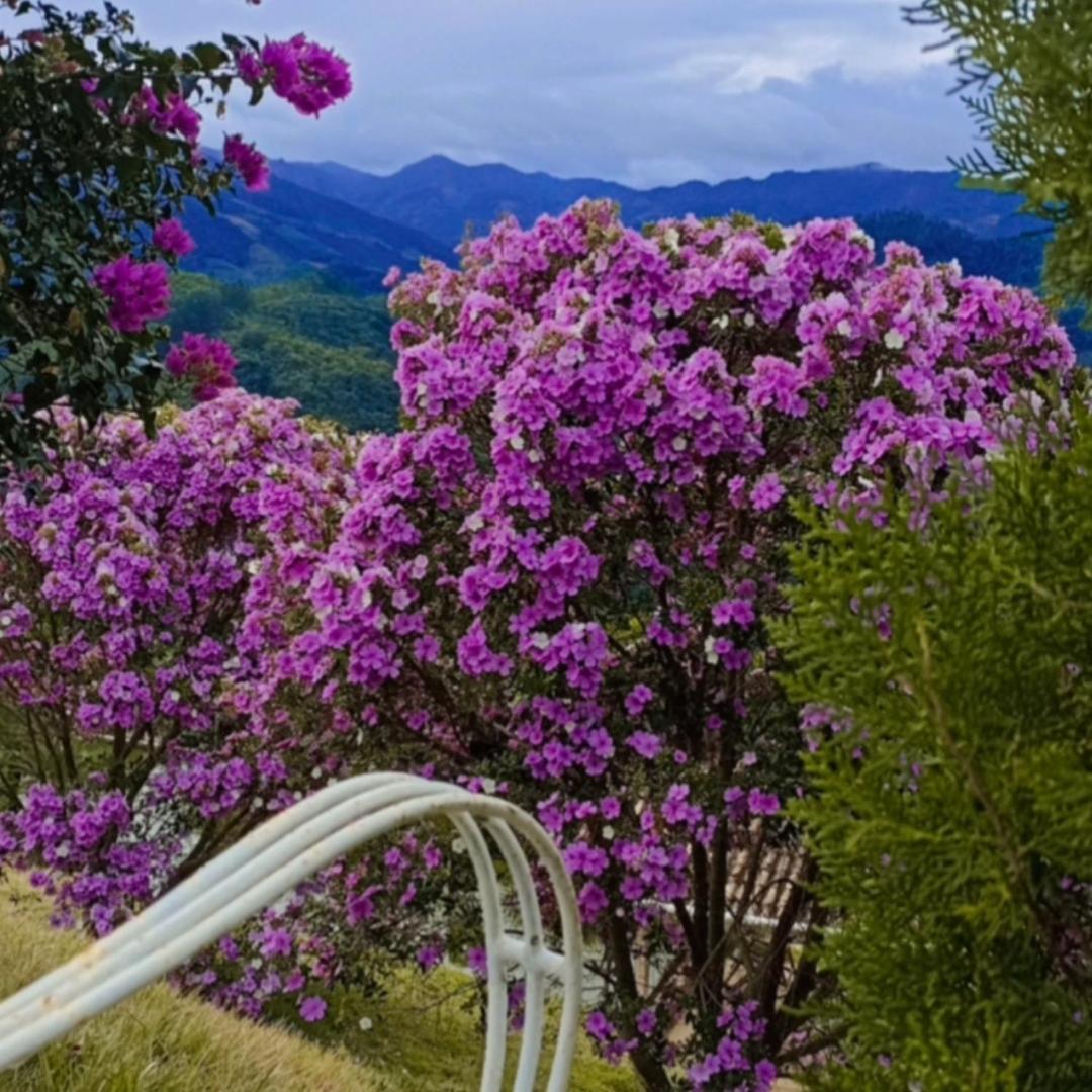 Pousada Linda Vista Domingos Martins Exteriér fotografie